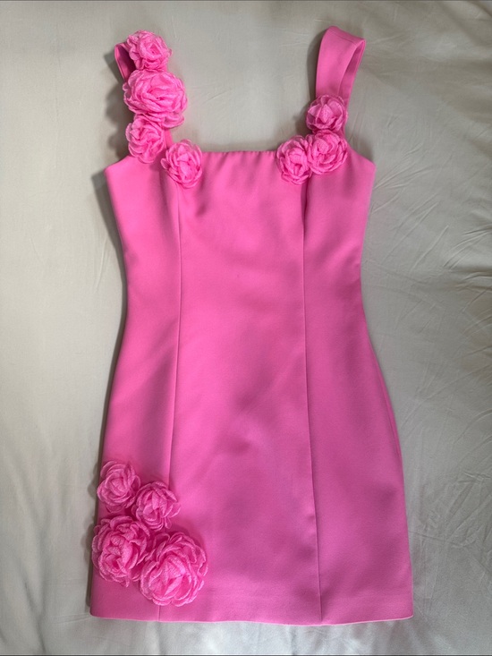 Elliatt Dresses & Skirts - Elliatt Trompe Pink Mini Dress with Floral Appliqués